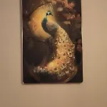 Obonheurdu Paon * 阿尔奎斯