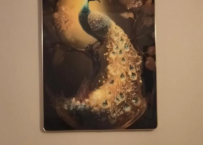 Obonheurdu Paon * Arques (Pas-de-Calais)