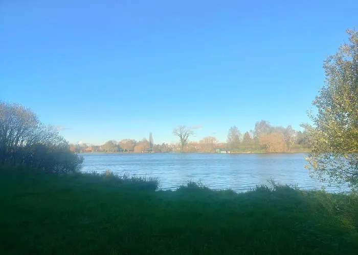 Obonheurdu Paon Arques (Pas-de-Calais)